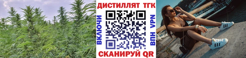 дарнет шоп Туринск ТГК Wax