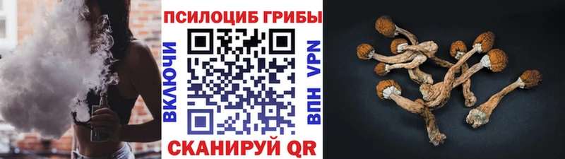 купить наркотики цена  Туринск  Псилоцибиновые грибы мухоморы 
